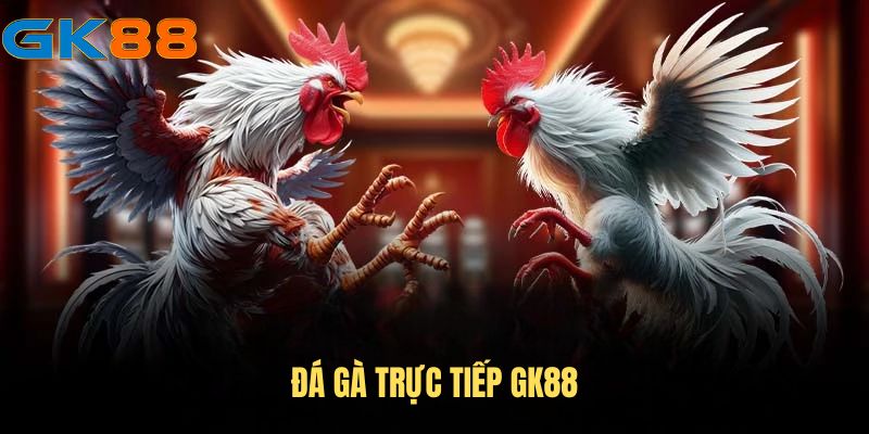 da-ga-truc-tiep-gk88